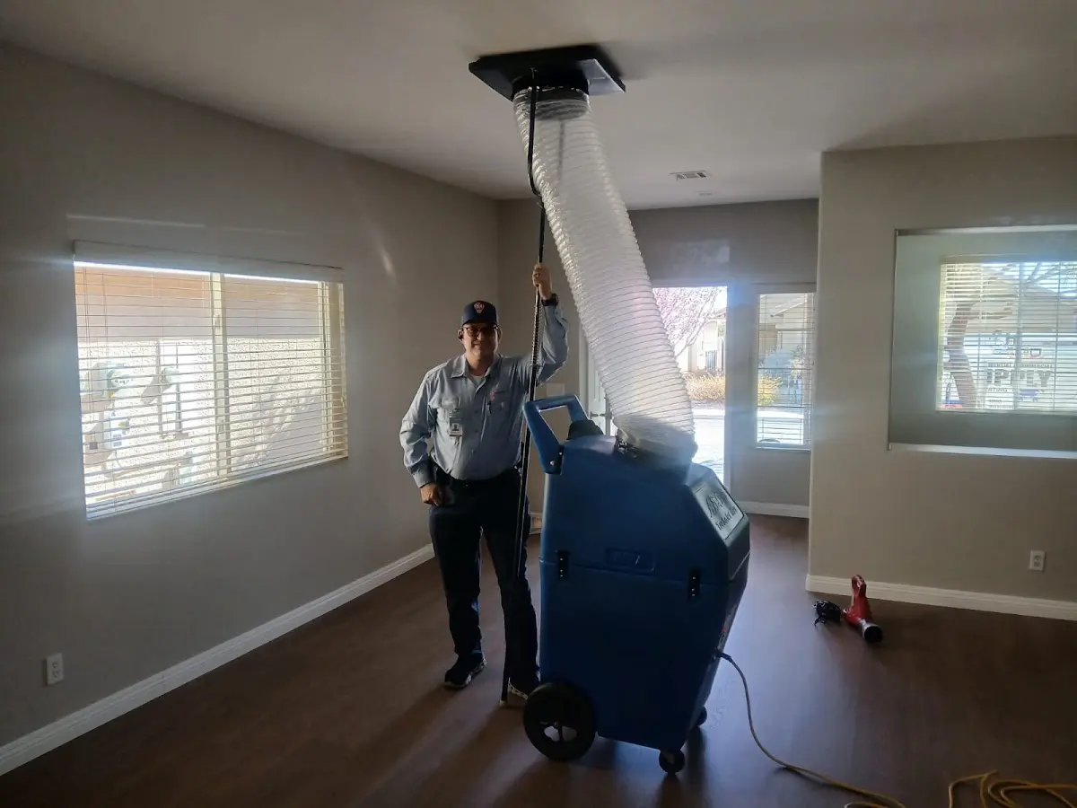 Professional Dryer Vent Cleaning work inside a Southeast home